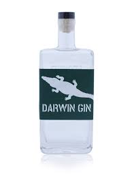 Darwin Distilling Co Signature Gin 500ml